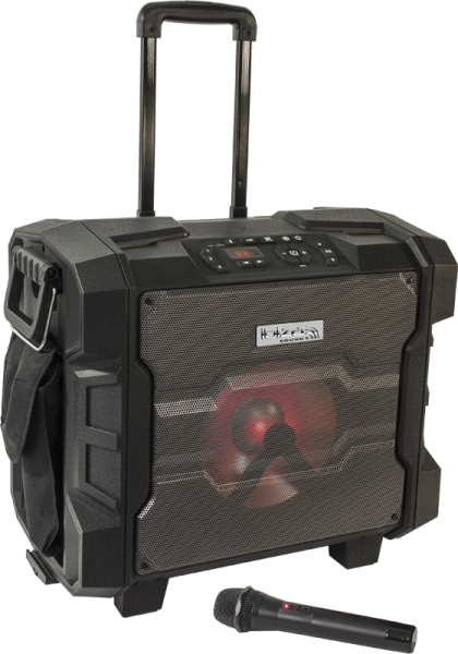 IBIZA Beschallungsanlage - Trolley WPORT10-300 Outdoor Akku USB,Bluetooth,FM